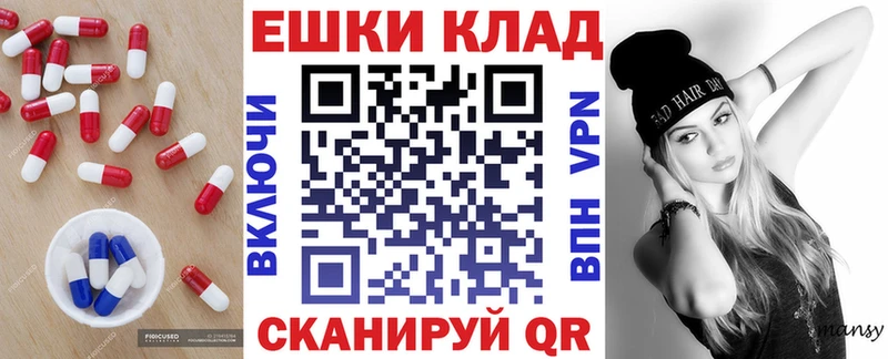 Ecstasy Дубай  Каргополь 