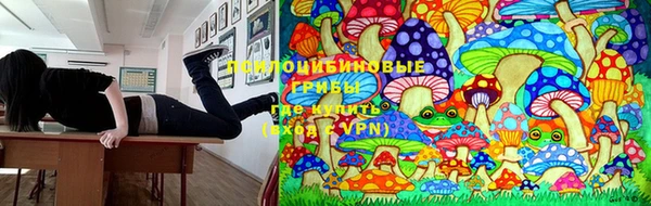 каннабис Алексин