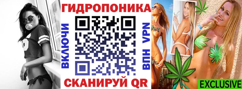 купить наркотик  Каргополь  ссылка на мегу как войти  Бошки марихуана план 